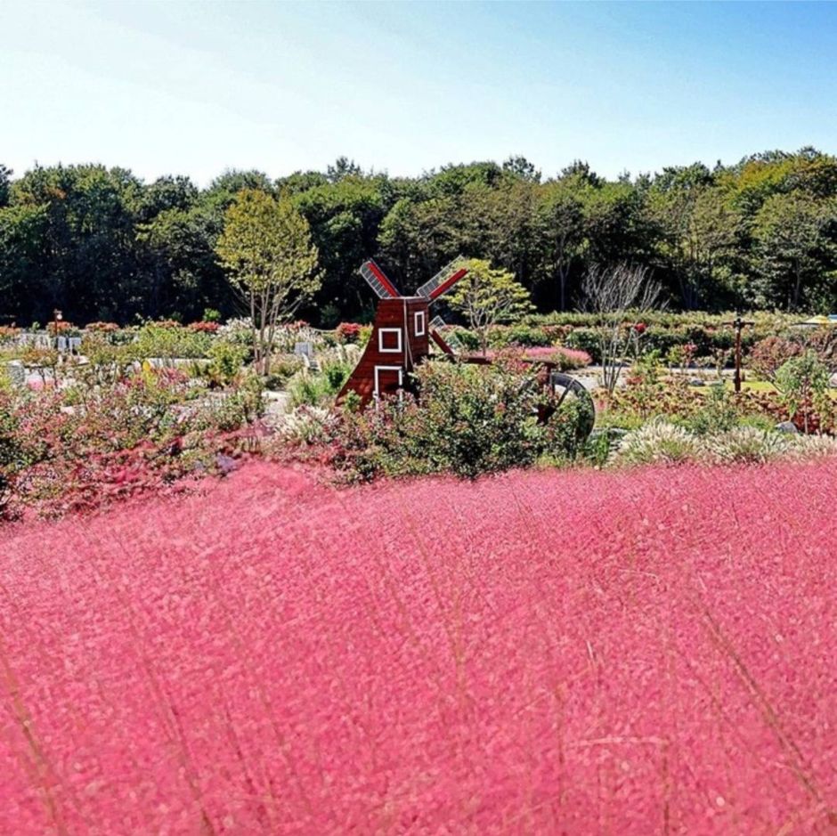 호린파크 이미지 8