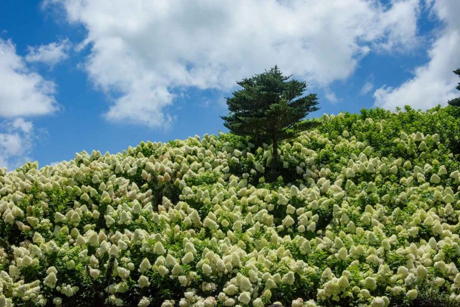 제주동화마을 이미지 2