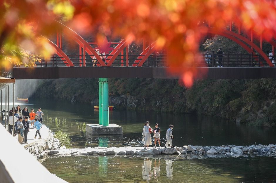 철암단풍군락지 이미지 2