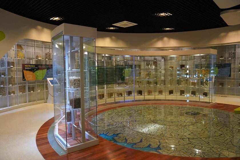 제천 한방엑스포공원 이미지 2