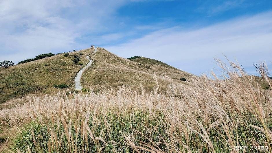 황매산 억새군락지 이미지 3