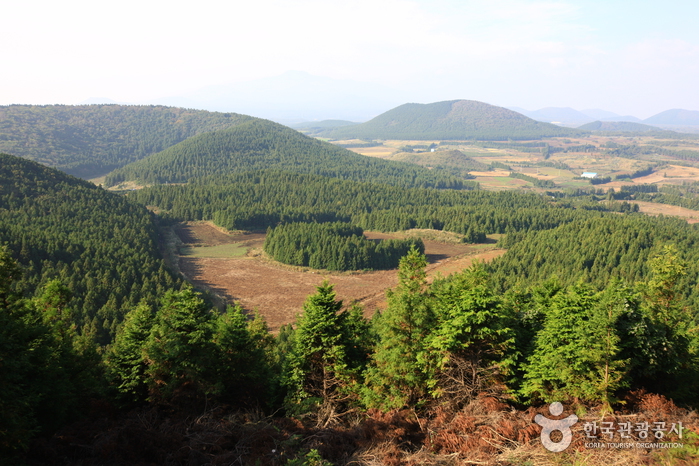 거문오름 [세계자연유산] 이미지 1