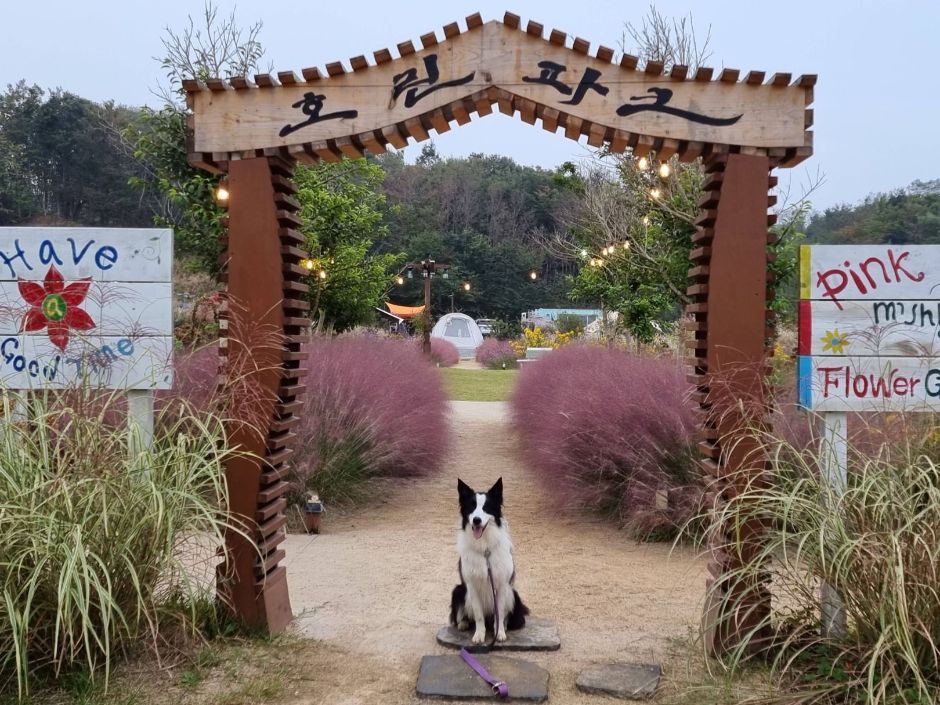 호린파크 이미지 6