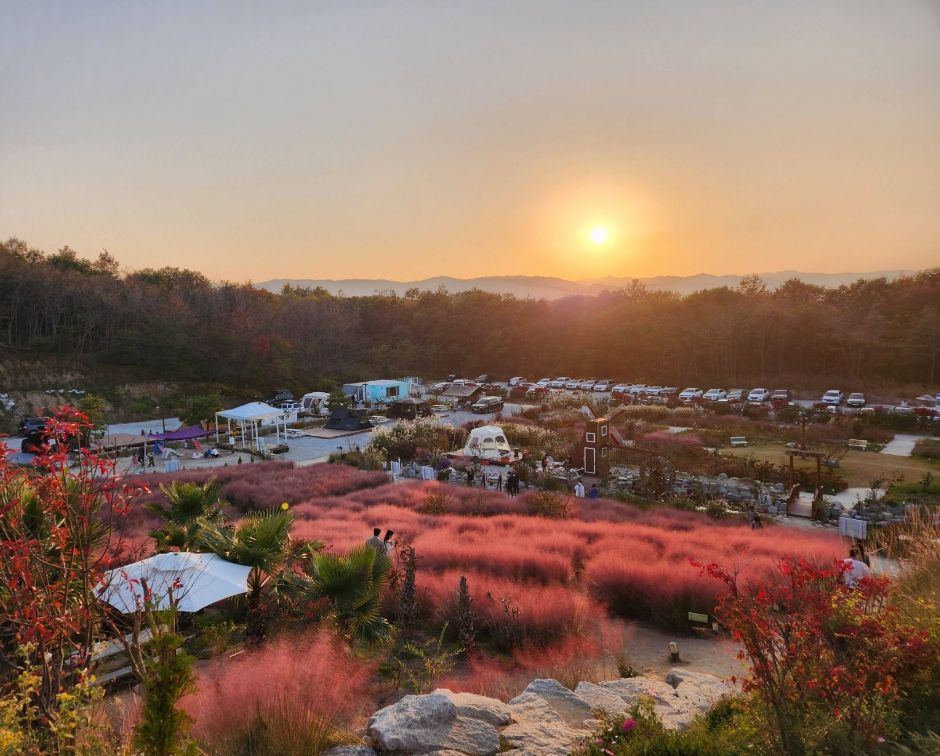 호린파크 이미지 7