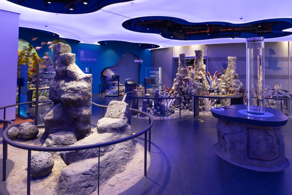 울진 국립해양과학관 이미지 10