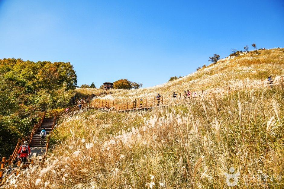 명성산 억새밭 이미지 6