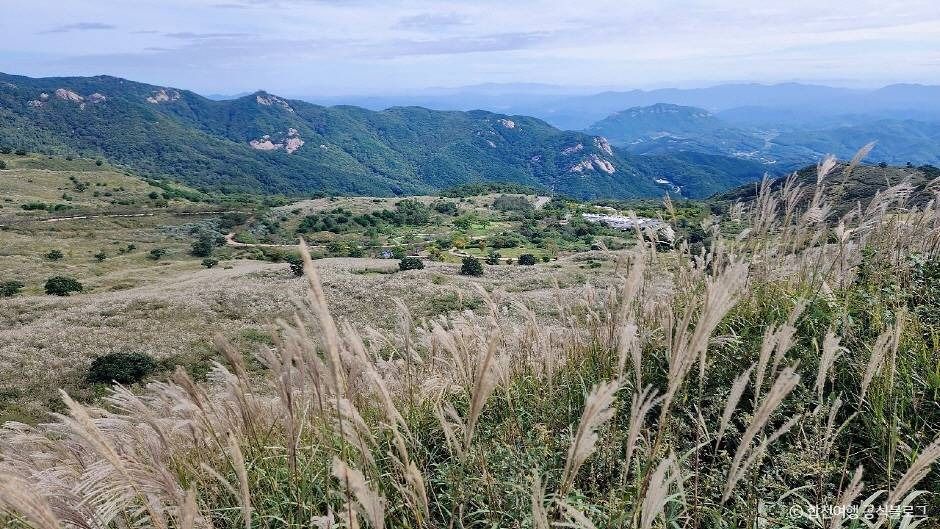 황매산 억새군락지 이미지 1