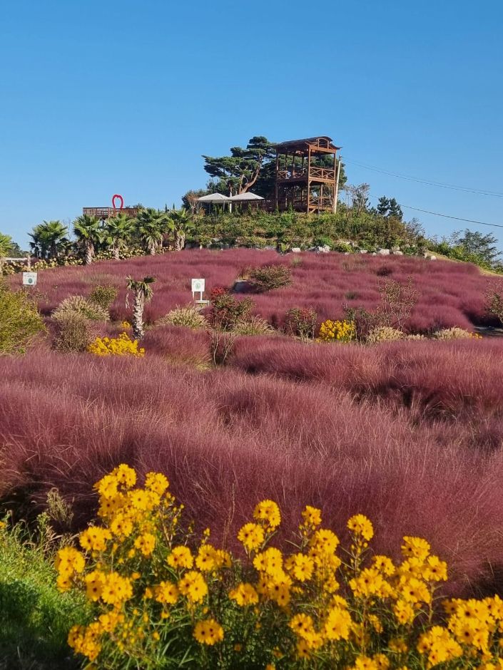 호린파크 이미지 3