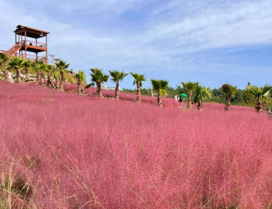 호린파크 이미지 5