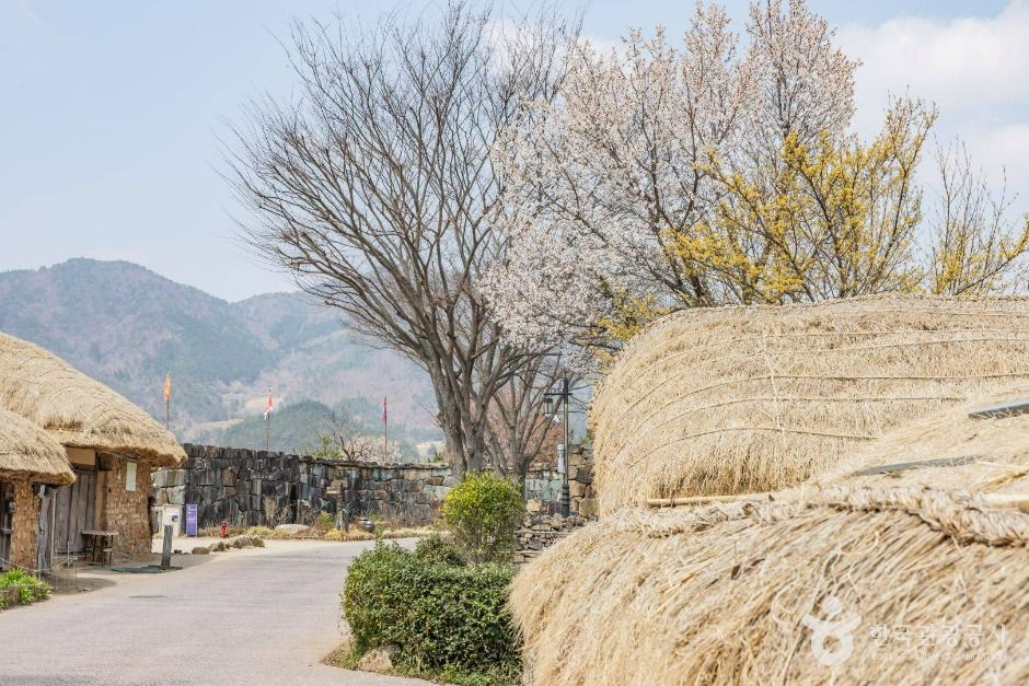 순천 낙안읍성 이미지 7