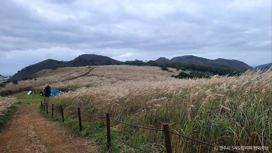 경주 무장산 이미지 4