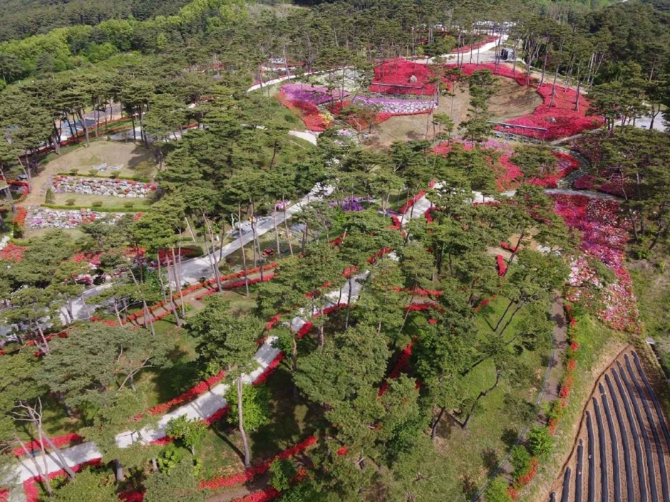 홍성솔바람테마파크 이미지 3