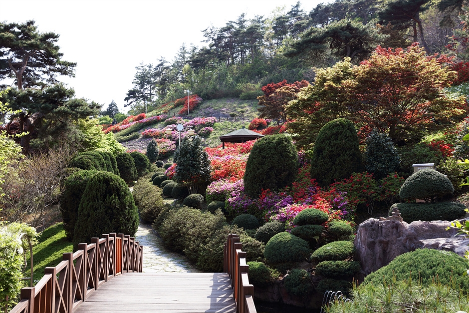 숲쟁이꽃동산 이미지 3