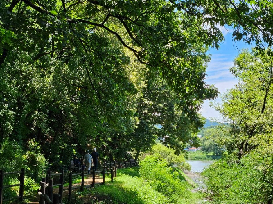 금광호수 이미지 5