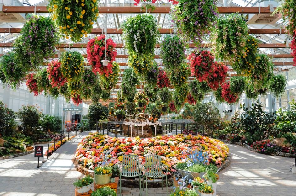 가평베고니아새정원 이미지 8