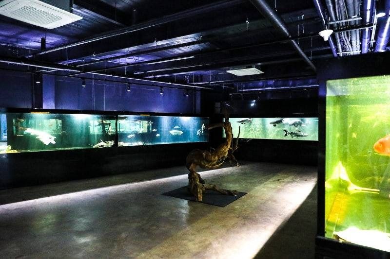 예술정원1999 자연예술테마파크 이미지 5