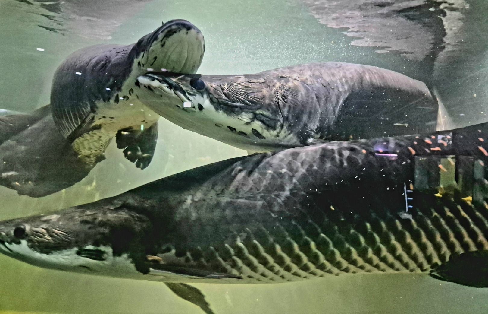 예술정원1999 자연예술테마파크 이미지 4