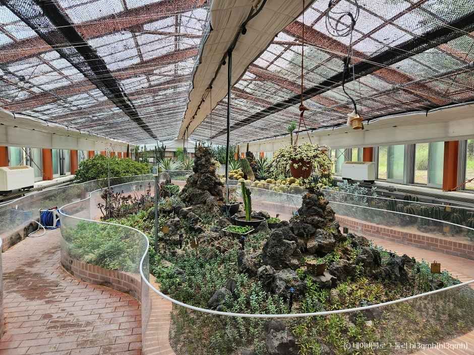 금강자연휴양림(금강수목원,산림박물관) 이미지 4