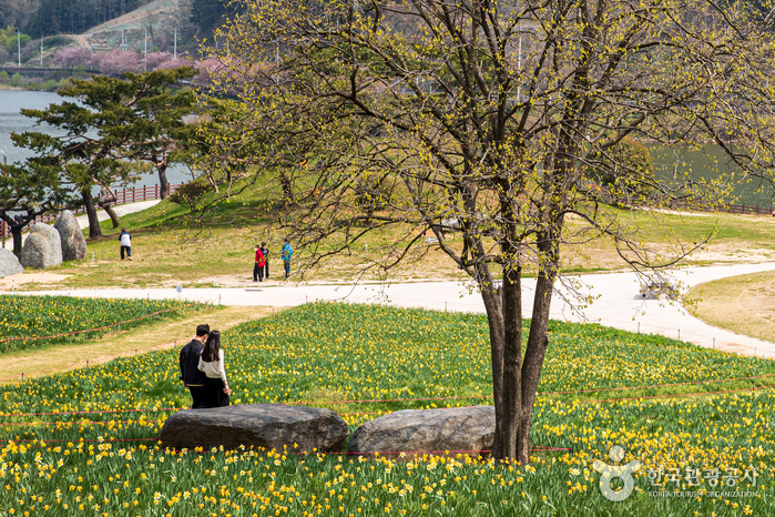 지리산치즈랜드 이미지 2