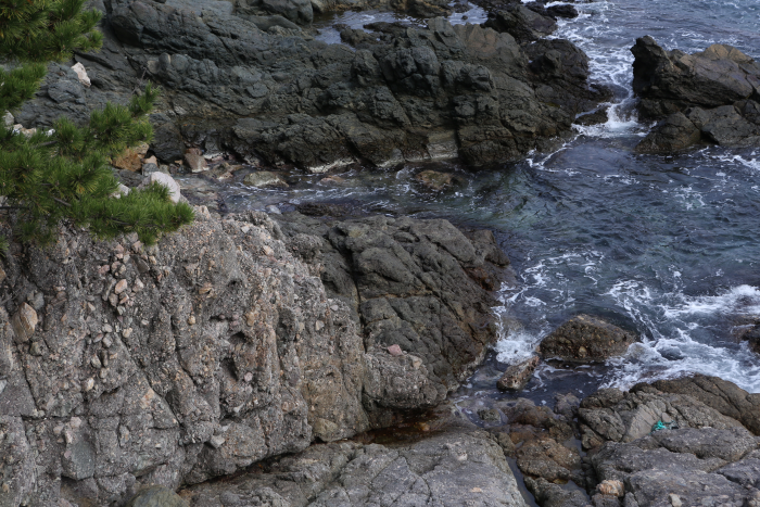 영덕 대부정합 (경북 동해안 국가지질공원) 이미지 6