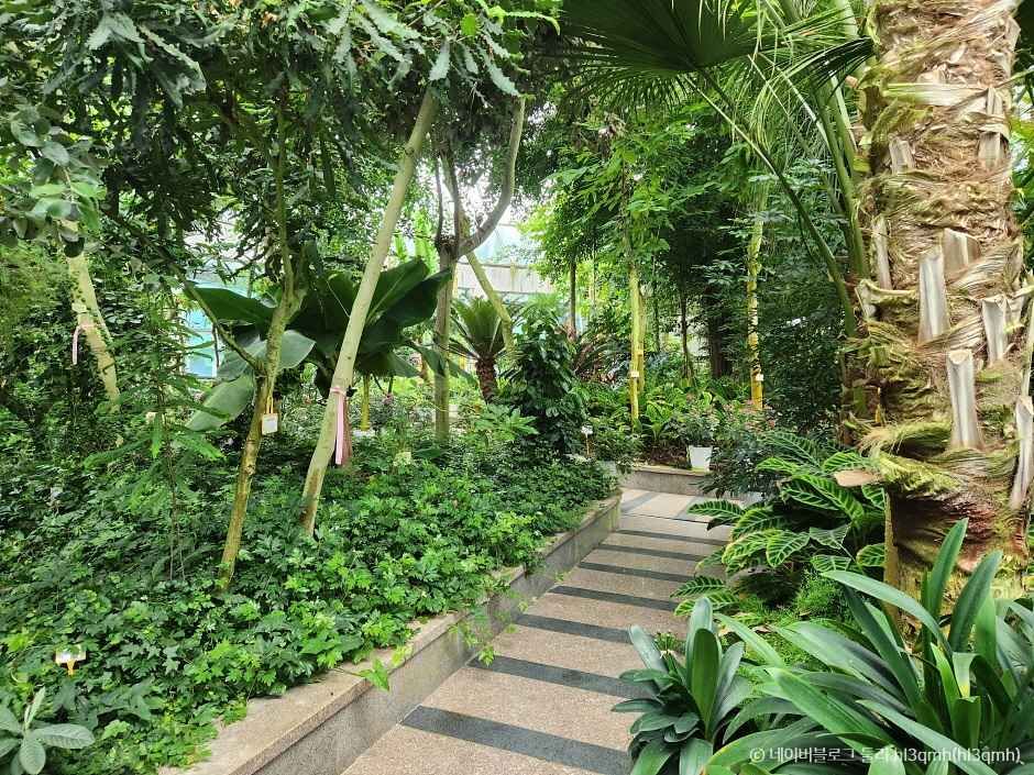 금강자연휴양림(금강수목원,산림박물관) 이미지 2