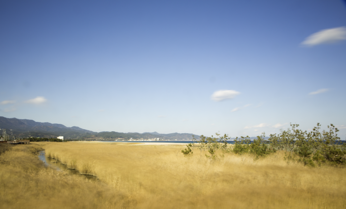 고래불 해안 (경북 동해안 국가지질공원) 이미지 5