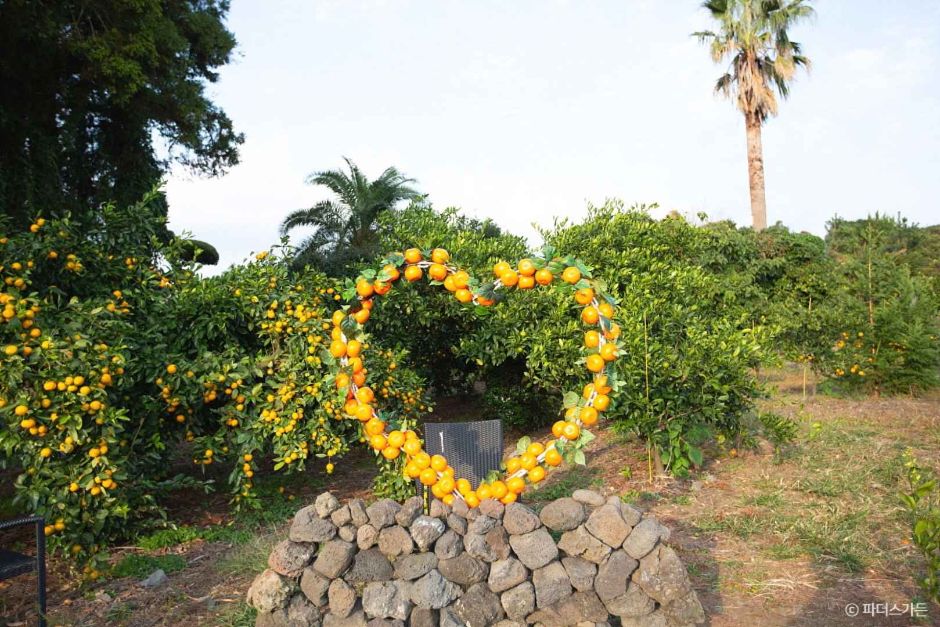 파더스가든 이미지 2