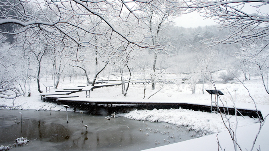 평강랜드 이미지 6