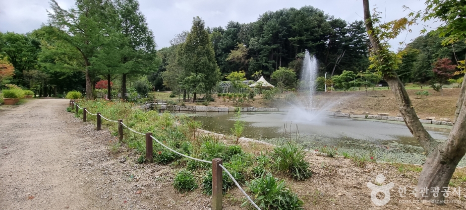 평강랜드 이미지 3