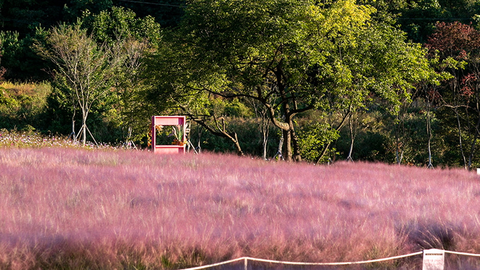 평강랜드 이미지 4