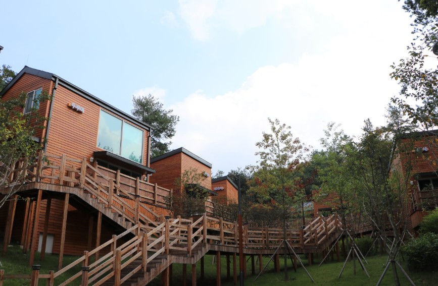 국립대전숲체원 이미지 6