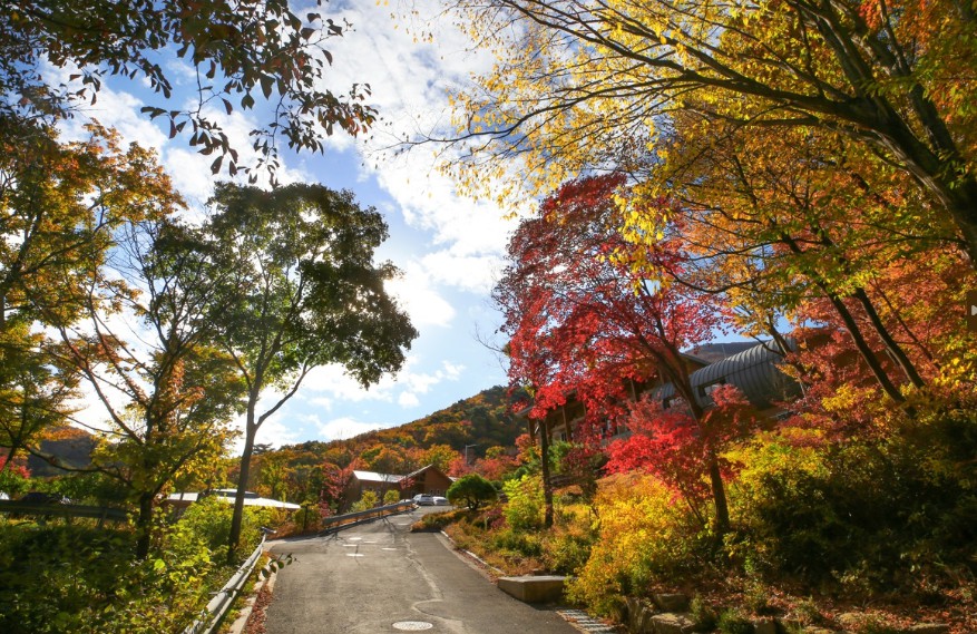 국립청도숲체원 이미지 3