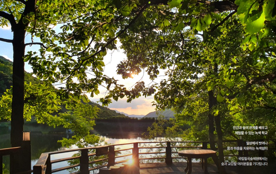 국립칠곡숲체원 이미지 4