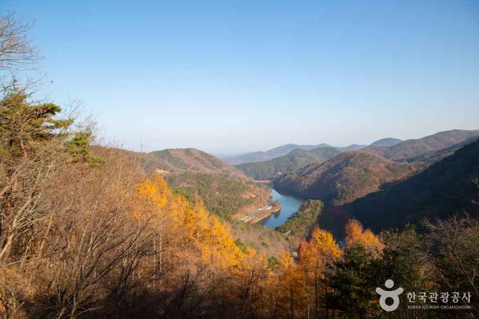 대전 장태산 자연휴양림 이미지 2