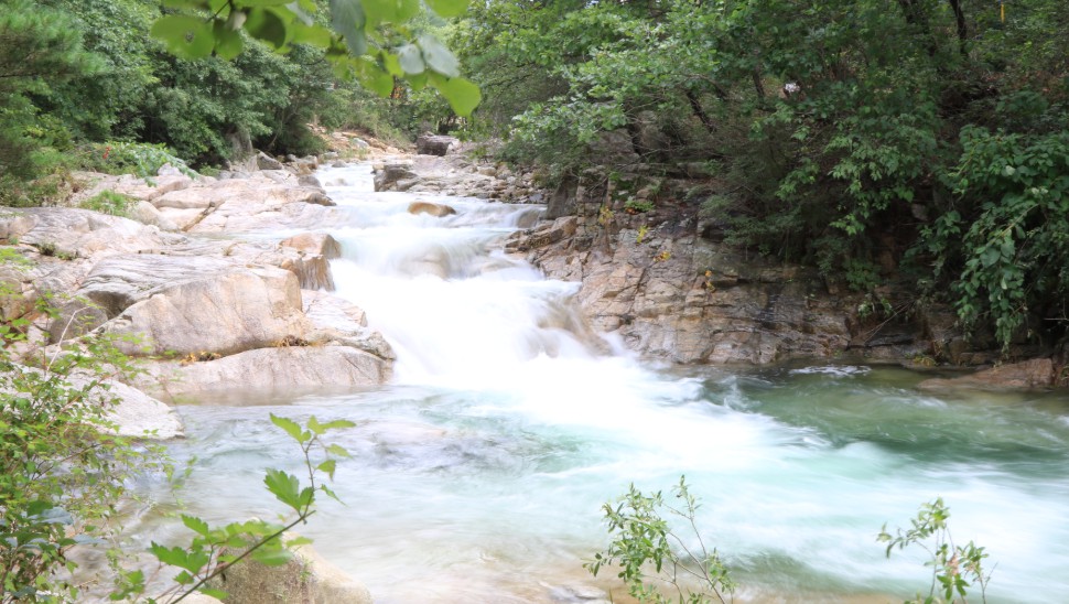 국립춘천숲체원 이미지 4