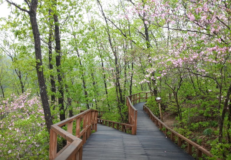 국립횡성숲체원 이미지 4