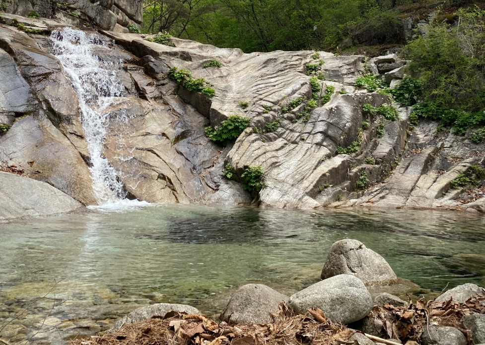국립춘천숲체원 이미지 6