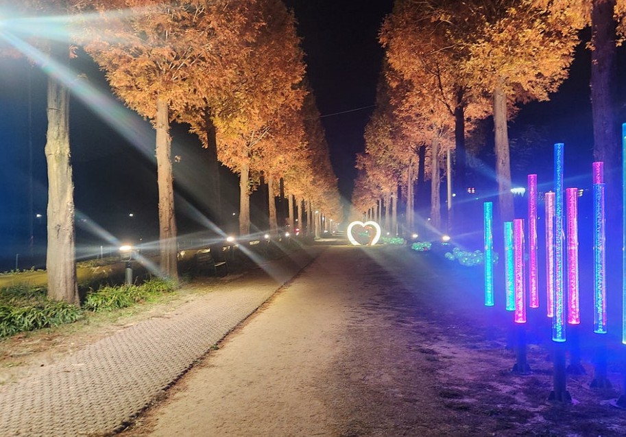 덕산 메타세쿼이아길 이미지 4