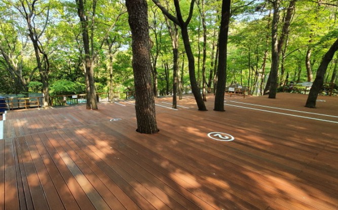 거제자연휴양림캠핑장 이미지 3