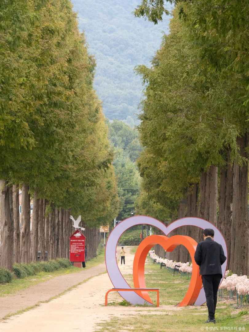 덕산 메타세쿼이아길 이미지 1