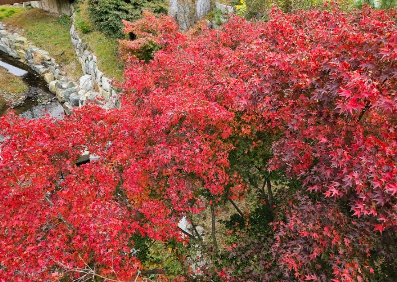 국립나주숲체원 이미지 2