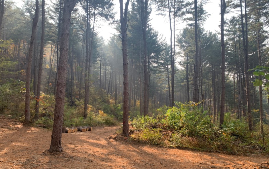 국립춘천숲체원 이미지 7