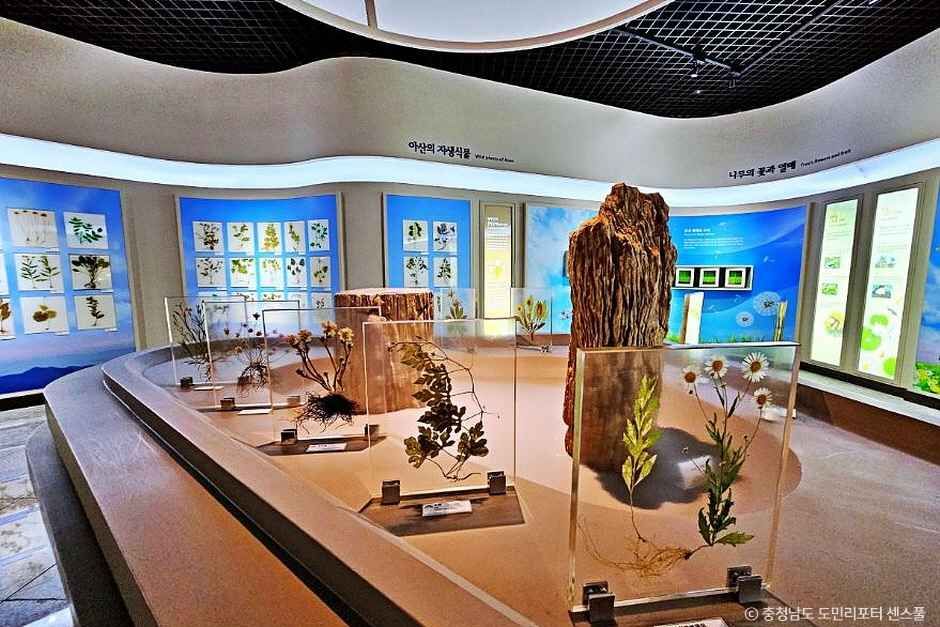 아산 영인산 산림박물관 이미지 2