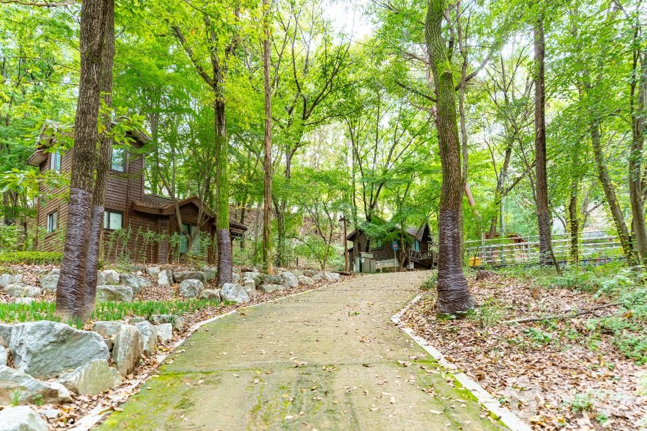 아산 영인산자연휴양림 이미지 11