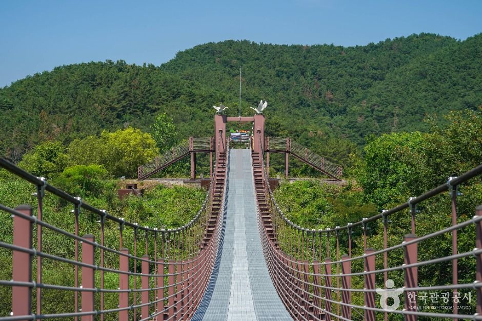 우포 출렁다리 이미지 3