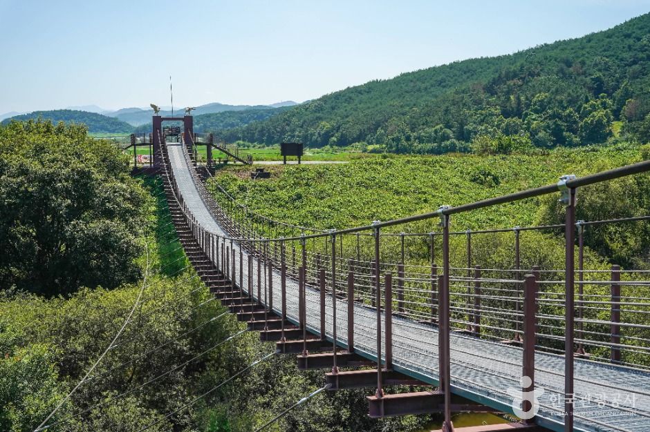 우포 출렁다리 이미지 4