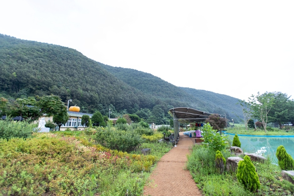 삼척 미로정원 이미지 9