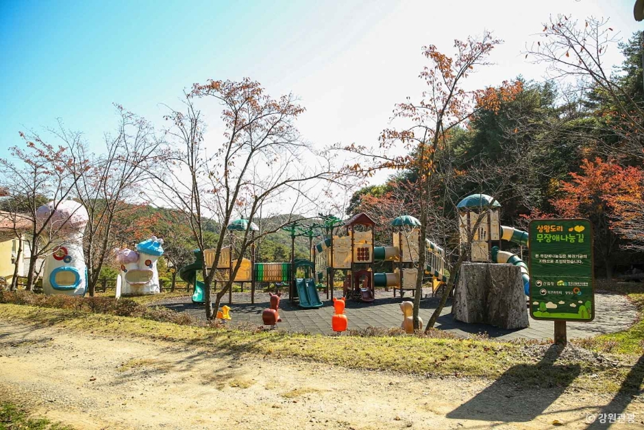 송이밸리자연휴양림 이미지 2