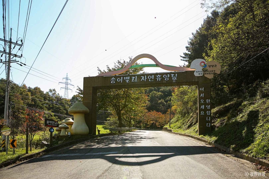 송이밸리자연휴양림 이미지 1