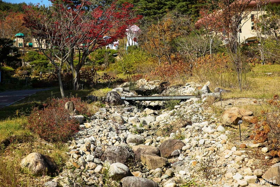 송이밸리자연휴양림 이미지 5